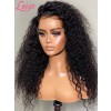 Brazilian Virgin Hair 9A Grade Human Hair Wigs Cambodia Curly Hair Style 13x6 Lace Front Wig Lwigs280