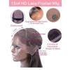 Fast Shipping Virgin Human Hair Silk Straight Japanese Swiss Lace 190% Density Highlight 13x4 Lace Front Wigs Lwigs89
