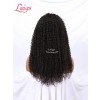 Free Shipping Kinky Curly Brazilian Human Hair Undetectable HD Lace Curly 360 Lace Wig With Baby Hair Lwigs191