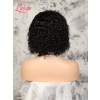 New Arrival Undetectable Dream Swiss Lace Curly Short Bob 360 Lace Frontal Wig With Fake Scalp Lwigs247