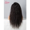 Pre Plucked Undetectable HD Lace Virgin Hair Natural Hairline Free Fast Shipping Curly 360 Lace Wigs Lwigs195