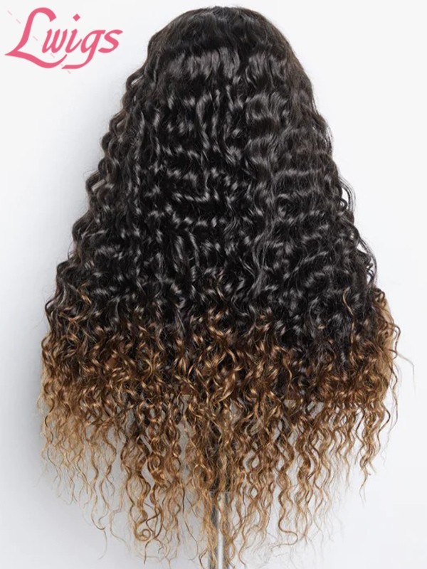 Lwigs New Arrivals 10s Install Loose Curly Ombre Color With Highlights 8x6 Dream 007 Lace Invisible Knots Glueless Wigs PR05