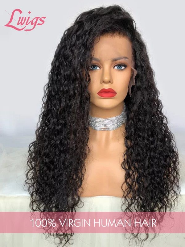 Brazilian Virgin Hair Top Grade 100 Human Hair Wigs Undetectable HD Lace Clean Hairline Curly Hair Style 13x6 Lace Front Wigs Lwigs110