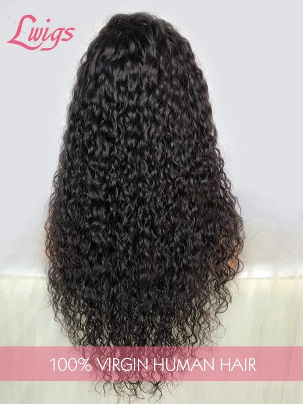 Brazilian Virgin Hair Top Grade 100 Human Hair Wigs Undetectable HD Lace Clean Hairline Curly Hair Style 13x6 Lace Front Wigs Lwigs110
