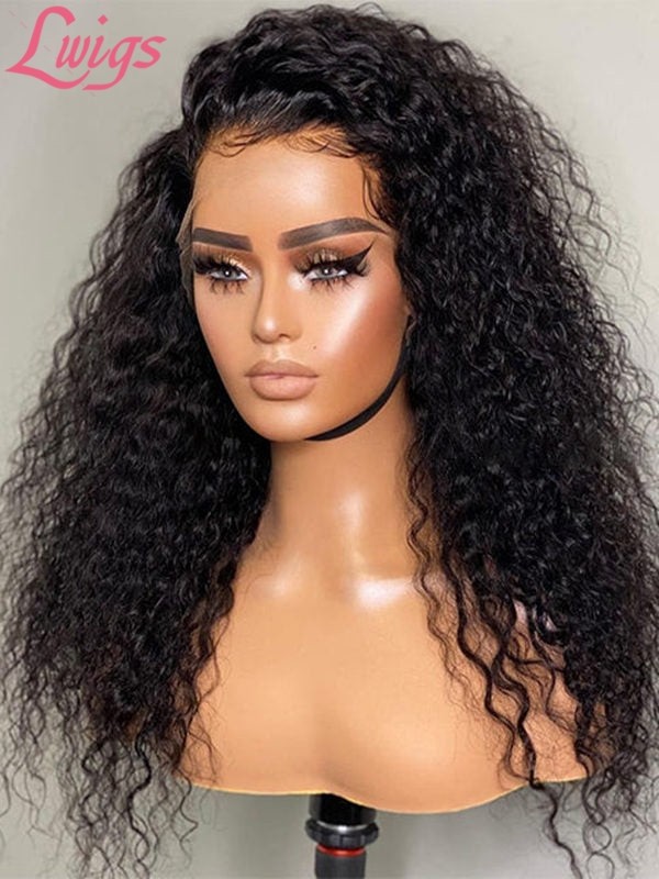 Brazilian Virgin Hair 9A Grade Human Hair Wigs Cambodia Curly Hair Style 13x6 Lace Front Wig Lwigs280