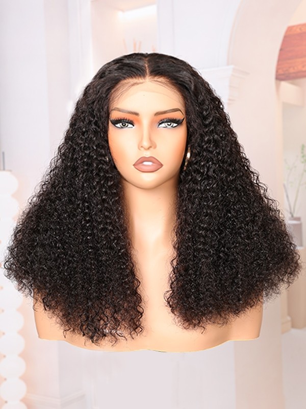 Brazilian Virgin Hair Top Grade 100 Human Hair Wigs Undetectable HD Lace Clean Hairline Curly Hair Style 13x6 Lace Front Wigs Lwigs110