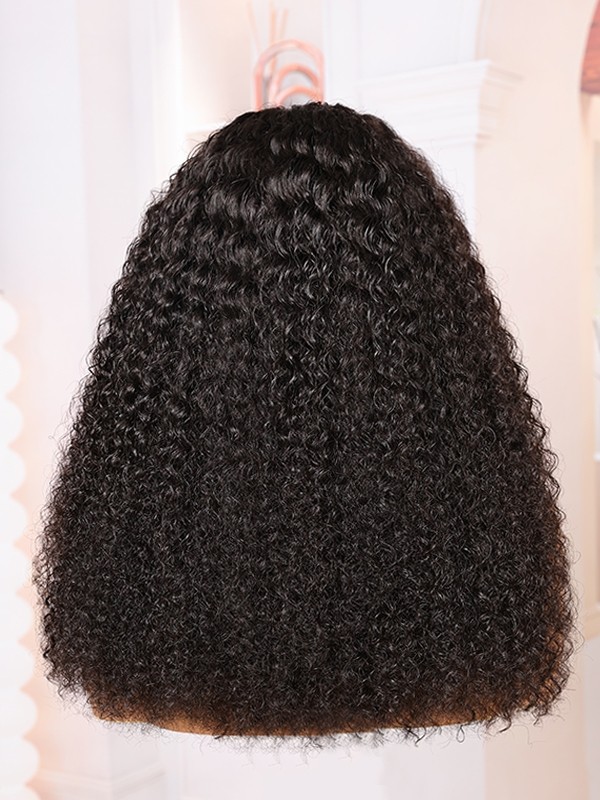 Brazilian Virgin Hair Top Grade 100 Human Hair Wigs Undetectable HD Lace Clean Hairline Curly Hair Style 13x6 Lace Front Wigs Lwigs110