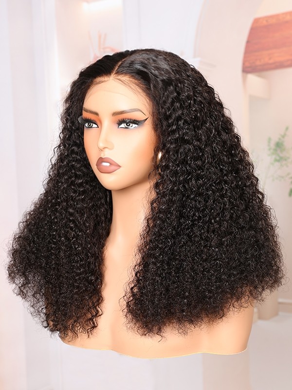 Brazilian Virgin Hair Top Grade 100 Human Hair Wigs Undetectable HD Lace Clean Hairline Curly Hair Style 13x6 Lace Front Wigs Lwigs110