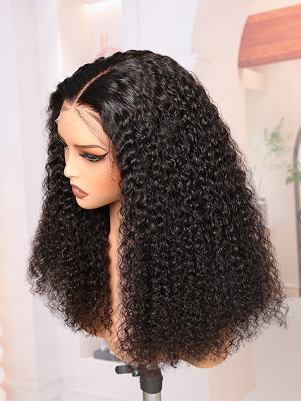 Brazilian Virgin Hair Top Grade 100 Human Hair Wigs Undetectable HD Lace Clean Hairline Curly Hair Style 13x6 Lace Front Wigs Lwigs110