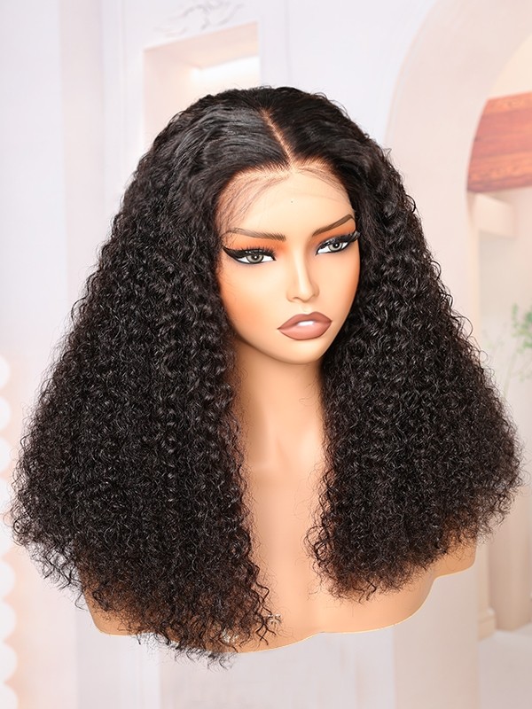 Brazilian Virgin Hair Top Grade 100 Human Hair Wigs Undetectable HD Lace Clean Hairline Curly Hair Style 13x6 Lace Front Wigs Lwigs110