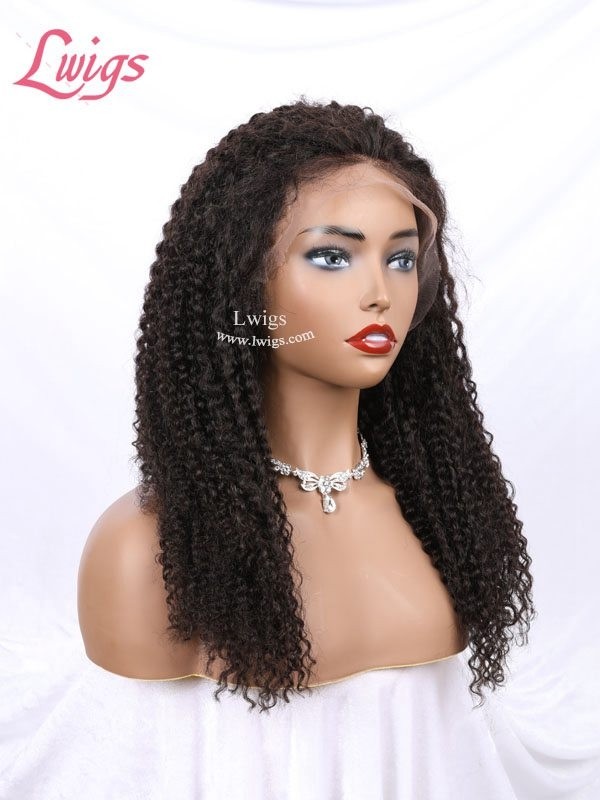 Free Shipping Kinky Curly Brazilian Human Hair Undetectable HD Lace Curly 360 Lace Wig With Baby Hair Lwigs191