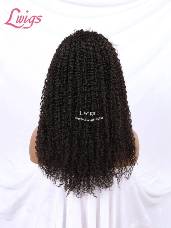 Free Shipping Kinky Curly Brazilian Human Hair Undetectable HD Lace Curly 360 Lace Wig With Baby Hair Lwigs191