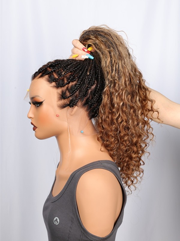 2025 Trends Pre-Braided Style Ombre Color Pre-Knotless PartingMax Glueless HD Full Lace Silky Straight Long Braided Wig Lwigs721