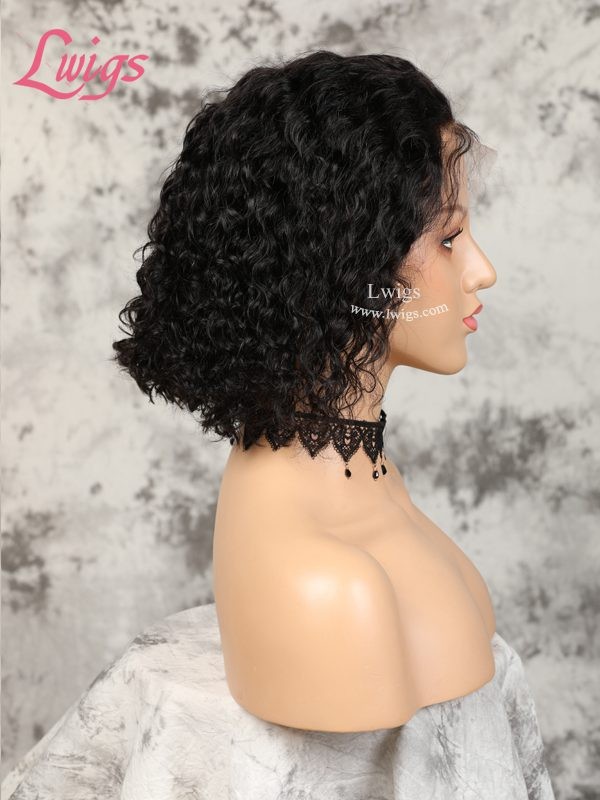 New Arrival Undetectable Dream Swiss Lace Curly Short Bob 360 Lace Frontal Wig With Fake Scalp Lwigs247