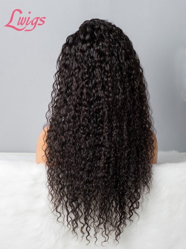 Pre Plucked Undetectable HD Lace Virgin Hair Natural Hairline Free Fast Shipping Curly 360 Lace Wigs Lwigs195