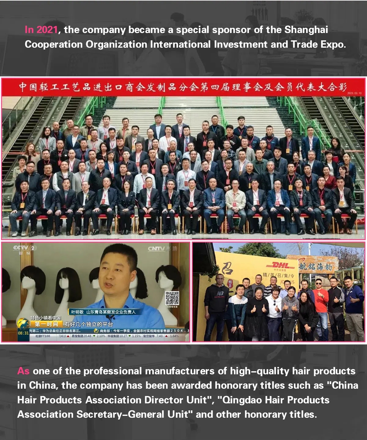 lwigs company info